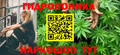 дживик Малгобек